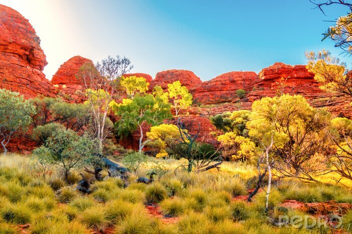 Tableau  Australien Outback 
