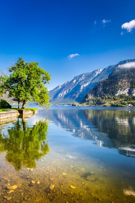 Tableau  Automne Alpes à Hallstatt