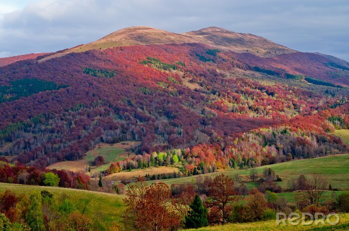 Tableau  Automne dans les montagnes
