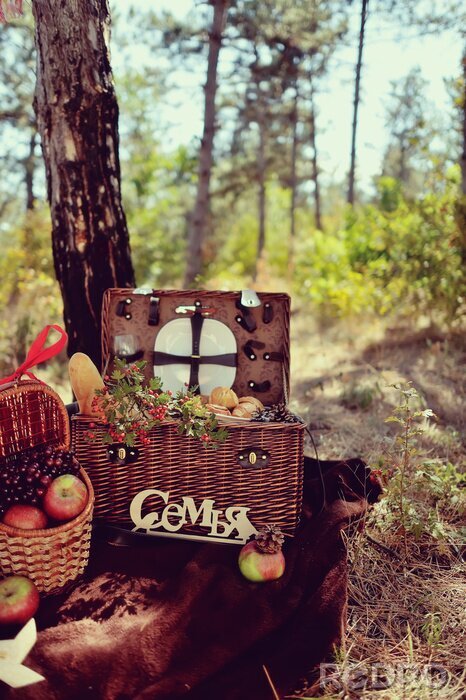 Tableau  automne encore la vie dans le panier de pique-nique bois avec des fruits et Brea