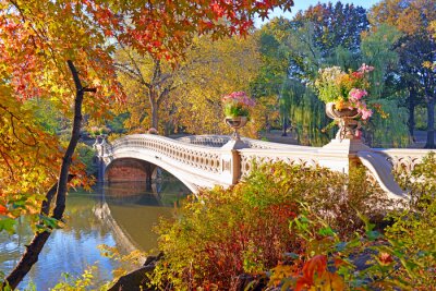 Tableau  Autumn Colors - feuillage d'automne dans le Central Park, Manhattan, New York