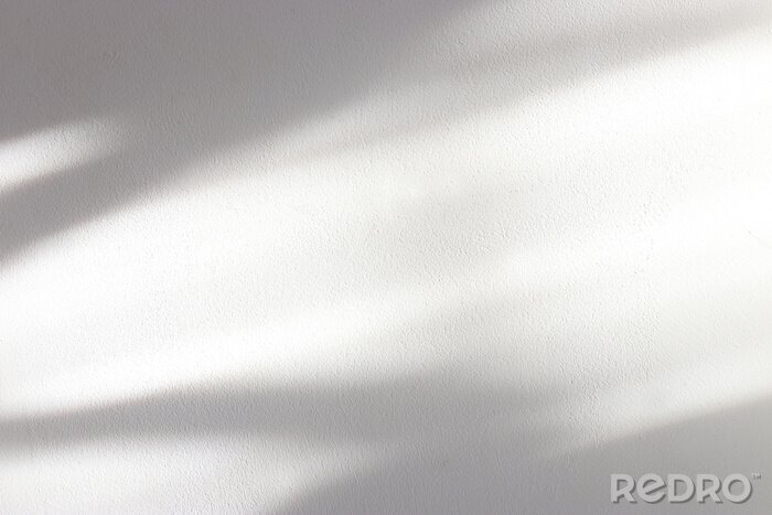 Tableau  background of organic shadow over white textured wall