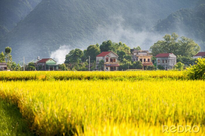 Tableau  Bacson Valley, Vietnam