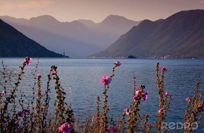 Tableau  Baie de Kotor au matin. Monténégro