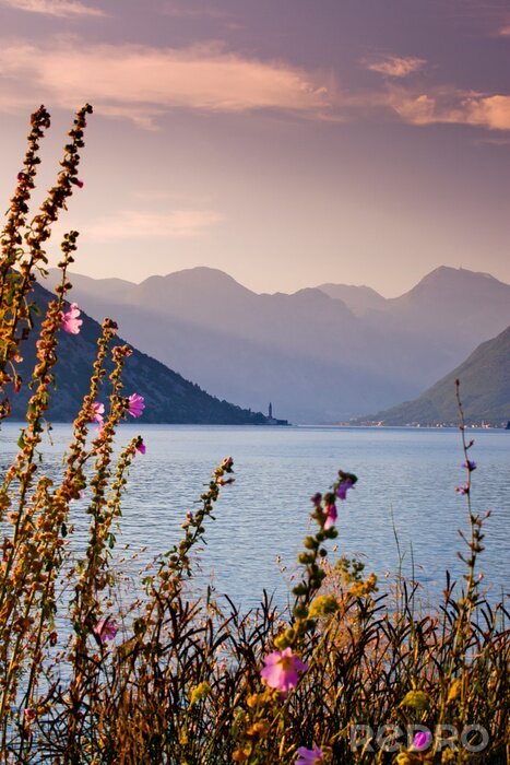 Tableau  Baie de Kotor au matin. Monténégro