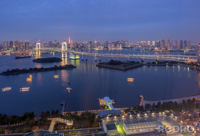 Tableau  Baie de Tokyo au Pont de l'Arc