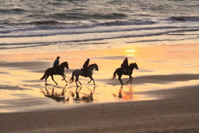 Tableau  Balade à cheval sur la plage