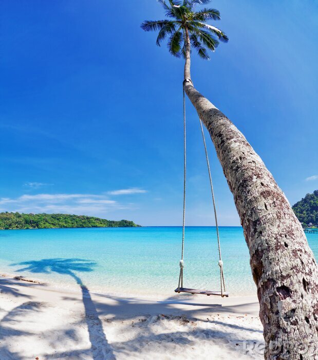 Tableau  Balançoire au bord de la mer