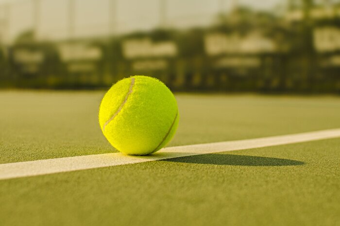 Tableau  Balle de tennis sur la Cour Close up