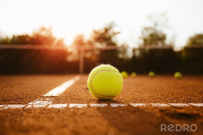 Tableau  Balle de tennis sur le terrain