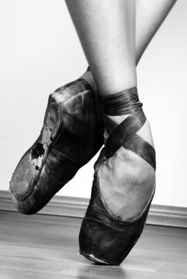 Tableau  ballet Shoes