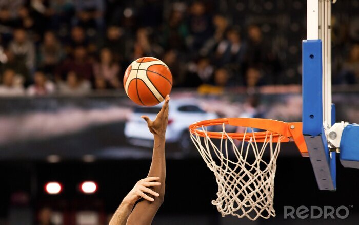 Tableau  ballon de basket au panier