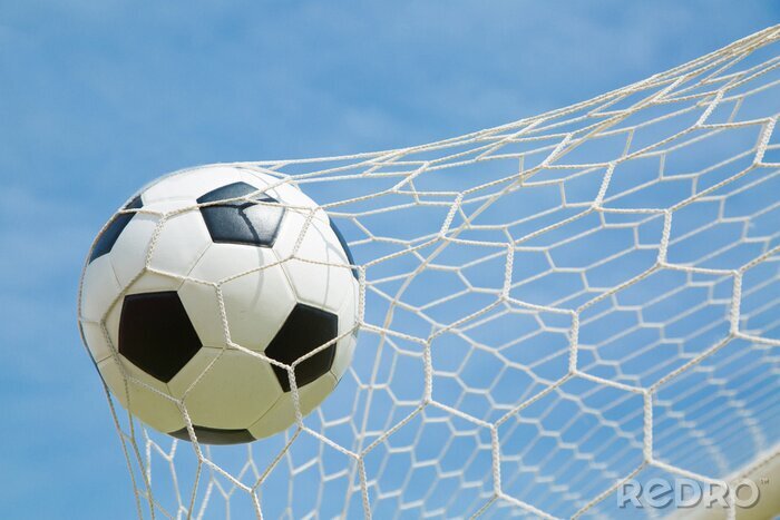 Tableau  Ballon de foot dans le filet du le ciel