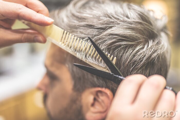 Tableau  Barber cutting and modeling hair with scissors and comb.