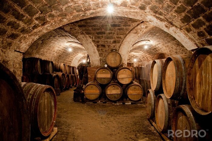 Tableau  Barils dans une cave à vin hongrois