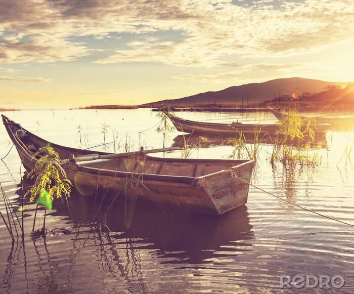 Tableau  Bateau au Mexique