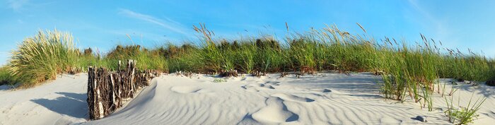 Tableau  Beach Dunes panoramique