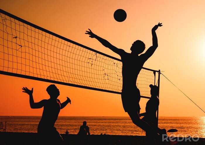 Tableau  beach-volley silhouette
