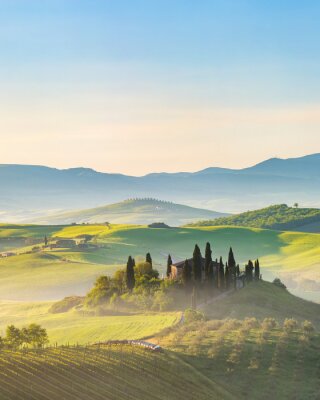 Beau, brumeux, paysage, Toscane, Italie