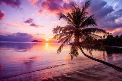 Beau coucher de soleil lumineux sur une plage de paradis tropical