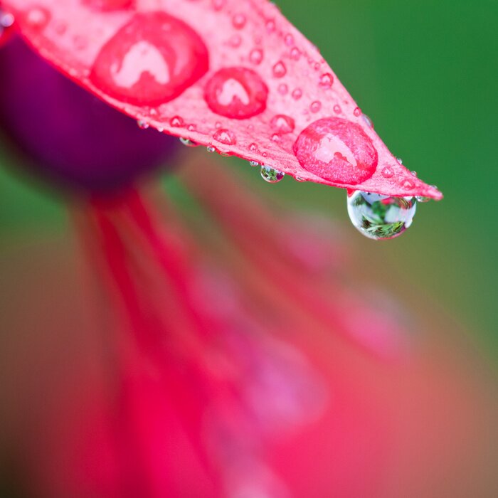 Tableau  Beauté saturé