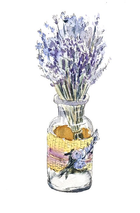 Tableau  Beautiful bouquet of lavender in a glass bottle. Watercolor illustration on white background