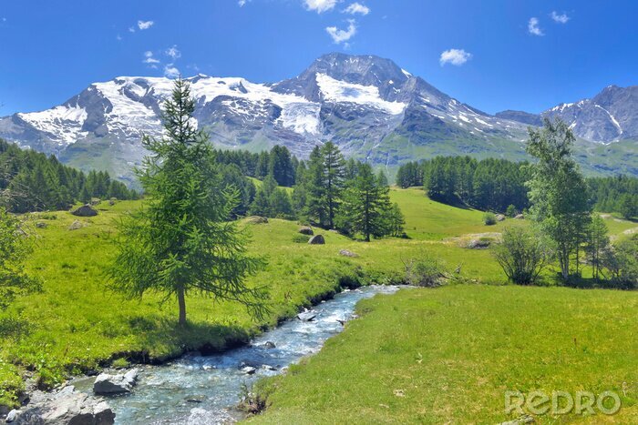 Tableau  beautiful scenic ladscape in alpine mountain snowy and greenery meadow with a little river
