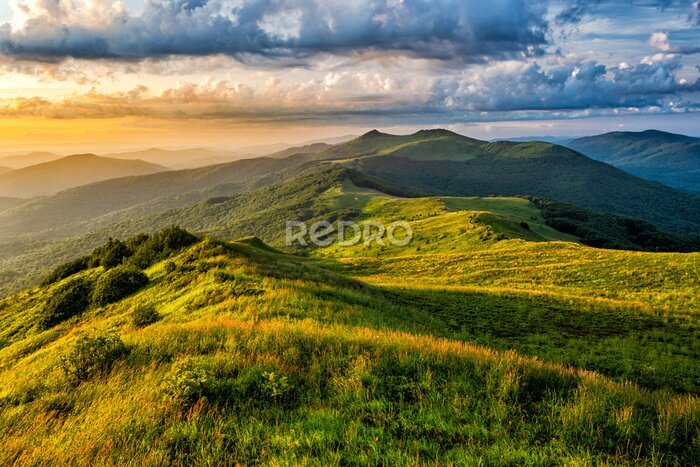 Tableau  Beautiful summer mountain landscape. Green meadow and the blue sky. Polonina Wetlinska, Bieszczady, Carpathians, Poland.