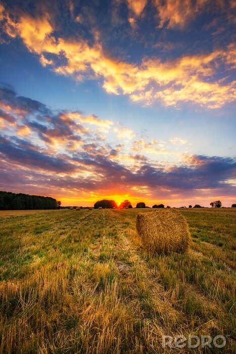 Tableau  Beautiful summer sunrise over fields with hay bales