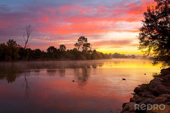Tableau  Beautiful sunrise over the billabong with a light ground fog