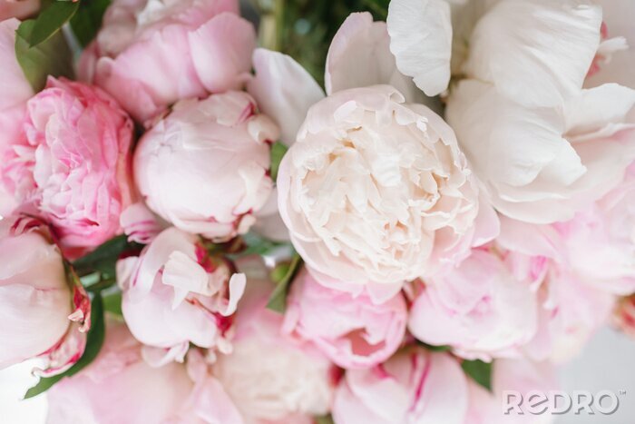 Tableau  Belles fleurs dans un vase en verre. Beau bouquet de pivoines blanches et roses. Composition florale, lumière du jour. Fond d'écran d'été. Couleurs pastel