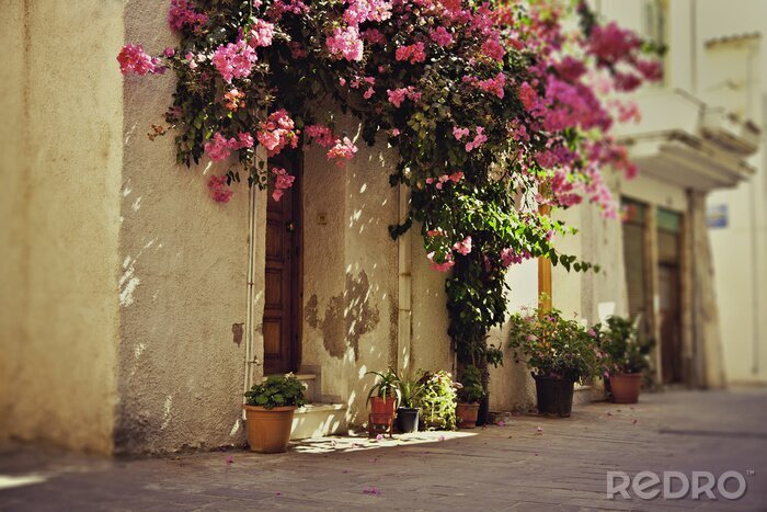 Tableau  Belles fleurs roses au-dessus de la porte
