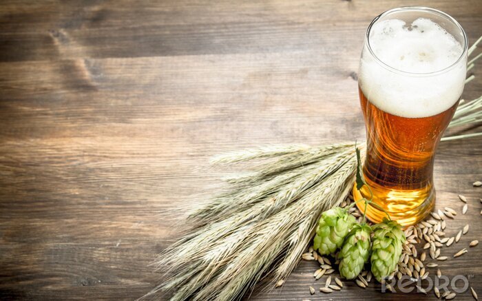 Tableau  Bière, blé et houblon formant une magnifique composition