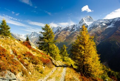 Tableau  Bietschorn sommet de montagne en automne avec sentier de randonnée