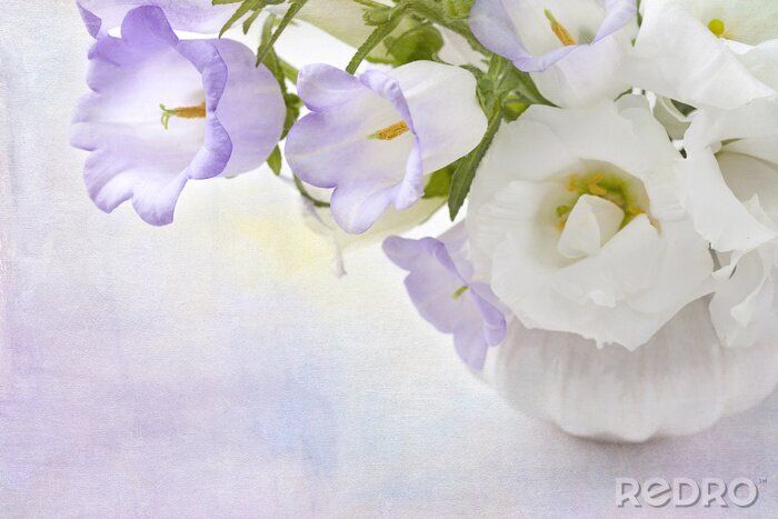 Tableau  Blanc et fleurs de lilas