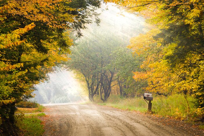 Tableau  Boites aux lettres sur un poteau sur le côté d'un chemin de terre au cours de feuillage d'automne