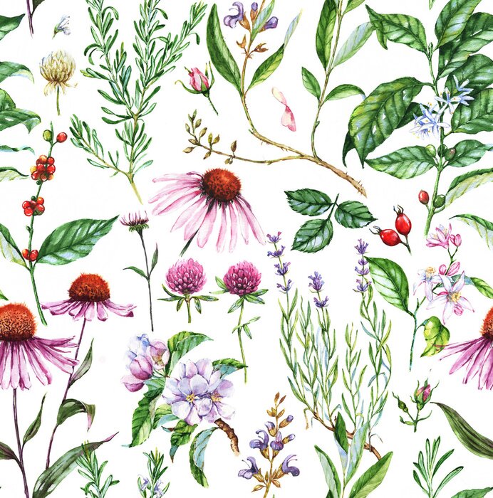 Tableau  Bosquet et fleurs de fines herbes