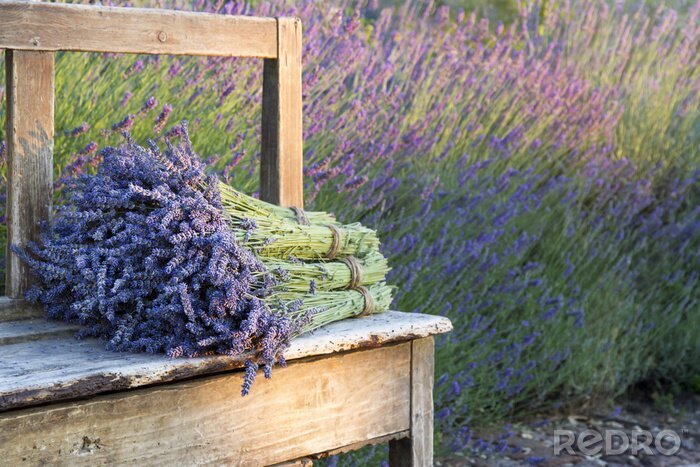 Tableau  Bouquet de lavande sur un banc en bois