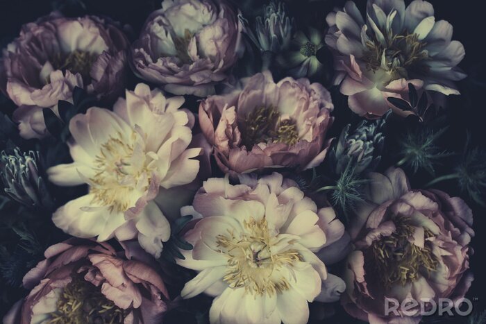 Tableau  Bouquet de pivoines sur fond sombre style vintage