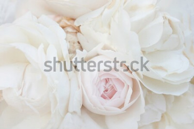 Tableau  Bouquet de roses blanches