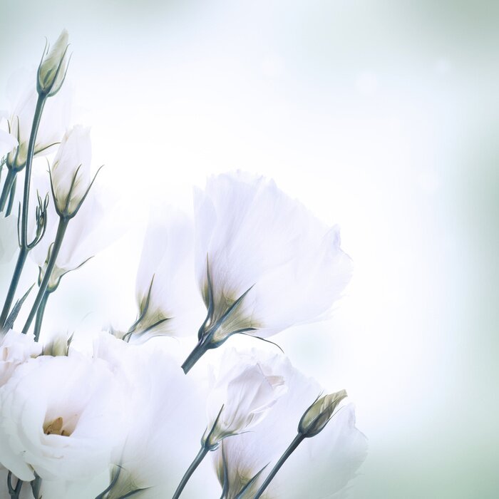 Tableau  Bouquet de roses roses, fond floral