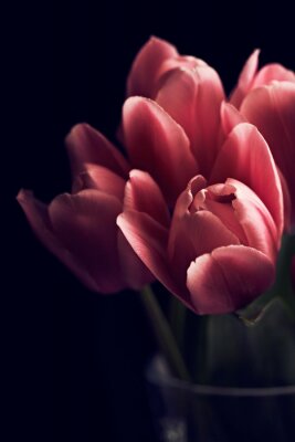 Tableau  Bouquet de tulipes, de près
