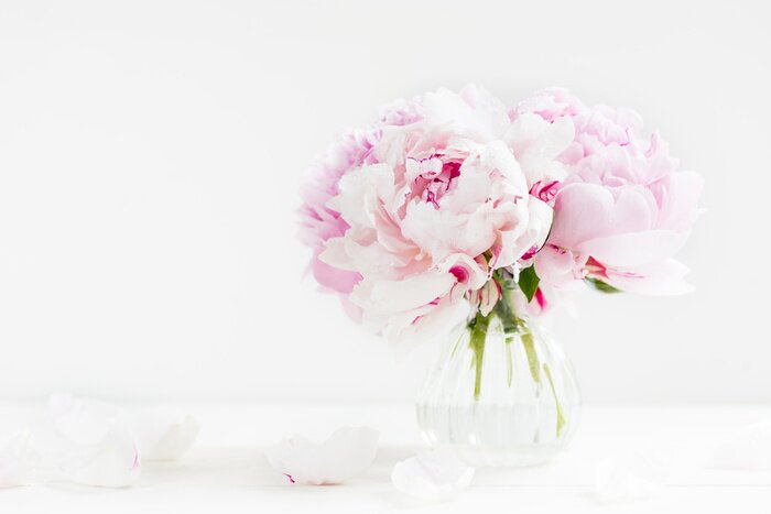 Tableau  Bouquet frais de pivoines roses sur fond clair