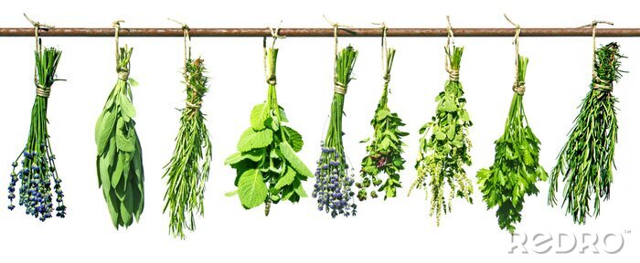 Tableau  Bouquets d'herbes aromatiques séchées