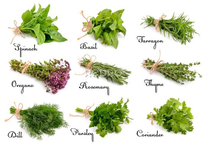 Tableau  Bouquets d'herbes aux noms anglais