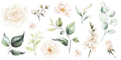 Bourgeons et fleurs de roses blanches à l'aquarelle