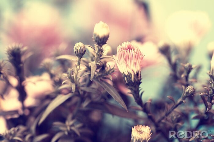 Tableau  Bourgeons et nature