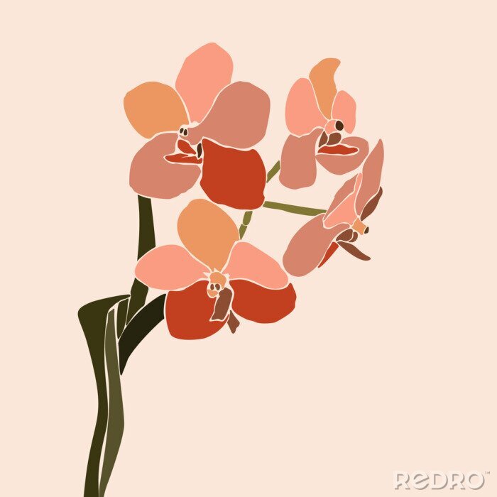 Tableau  Bourgondische orchidee minimalistische afbeeldingen