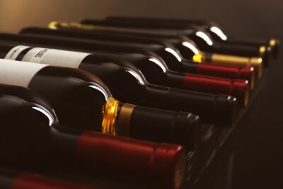 Bouteilles de vin disposées sur une étagère