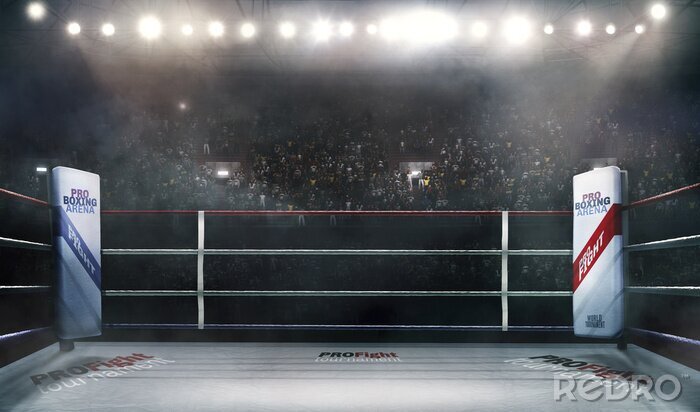 Tableau  Boxe arts martiaux sur le ring